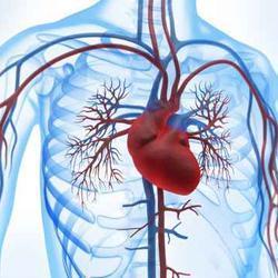 Software Module Biofeedback Heart Rate Variability