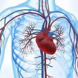 Softwaremodul Biofeedback Herzratenvariabilität